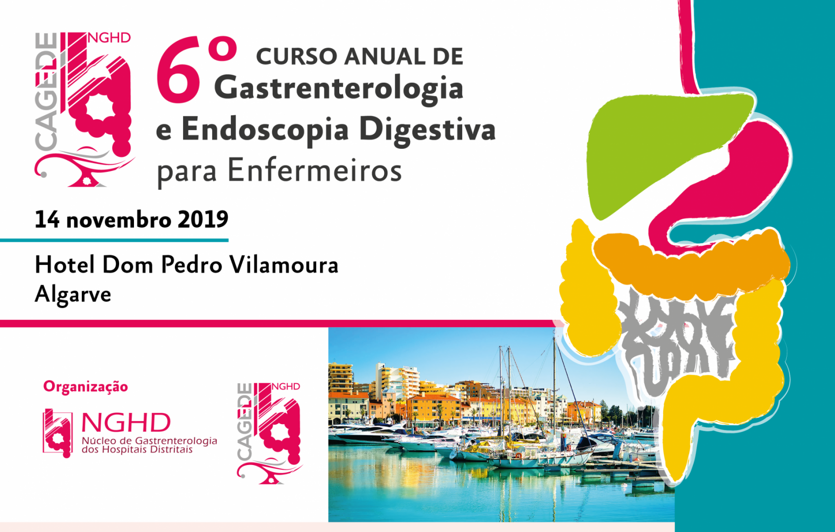 6 edio do Curso Anual de Gastrenterologia de Endoscopia para Enfermeiros