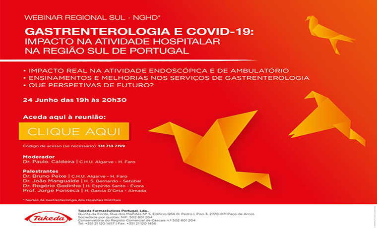 Convite Final - Webinar Regional Sul - NGHD